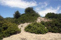 Mina Cáucaso, Minas de Conil, Conil de la Frontera, Comarca La Janda, Cádiz