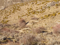 Minas del Cerrajón.  Monachil. Granada