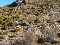 Minas del Cerrajón.  Monachil. Granada