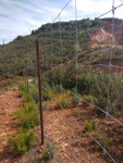 Corta Filón Sur, Minas de Tharsis, Tharsis, Alosno, Comarca El Andévalo. Huelva