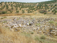 Cantera Minerama - Puente Tablas - Jaén