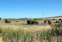 Mina Las Cruces, Gerena-Guillena-Salteras, Comarca Sierra Norte, Sevilla