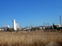 Mina Las Cruces, Gerena-Guillena-Salteras, Comarca Sierra Norte, Sevilla