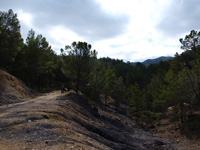 Barranco de la Tejera, Loma de la Cuna, Montalbán, Comarca Cuencas Mineras, Teruel