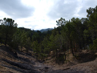 Barranco de la Tejera, Loma de la Cuna, Montalbán, Comarca Cuencas Mineras, Teruel