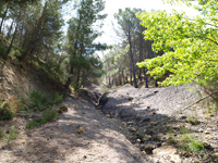 Barranco de la Tejera, Loma de la Cuna, Montalbán, Comarca Cuencas Mineras, Teruel