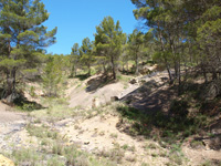 Barranco de la Tejera, Loma de la Cuna, Montalbán, Comarca Cuencas Mineras, Teruel