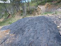 Barranco de la Tejera, Loma de la Cuna, Montalbán, Comarca Cuencas Mineras, Teruel