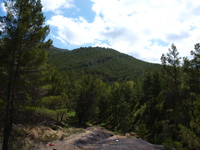 Barranco de la Tejera, Loma de la Cuna, Montalbán, Comarca Cuencas Mineras, Teruel 