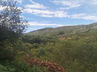 Mina Sel de Haya. Údias. Cantabria