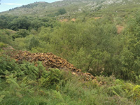 Mina Sel de Haya. Údias. Cantabria