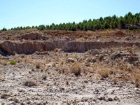 Cantera de Yeso. Cerro Palancho. Casas de Ves. Albacete