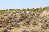 Volcán de Cancarix, Sierra de las Cabras, Cancarix, Hellín, Comarca Campos de Hellín, Albacete