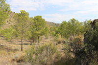 Volcán de Cancarix, Sierra de las Cabras, Cancarix, Hellín, Comarca Campos de Hellín, Albacete