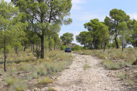 Volcán de Cancarix, Sierra de las Cabras, Cancarix, Hellín, Comarca Campos de Hellín, Albacete