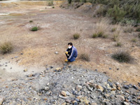 Minas de San Quitín. Dehesa del Collado-las Minetas de Cabezarados. Villamayor de Calatrava