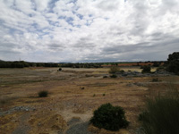 Minas de San Quitín. Dehesa del Collado-las Minetas de Cabezarados. Villamayor de Calatrava