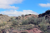 Mina de Sal (Mina de Minglanilla), La Rambla Salada, La Pesquera,  Cuenca