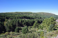 Mina la Salmantina. Navasfrias. Salamanca