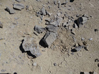 Pedrera Tossal Gros. Ivorra, La Segarra, Lleida