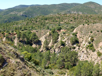 Paraje de la Murta. Domeño. Valencia.