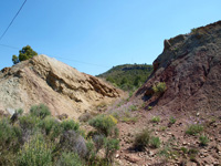 Paraje de la Murta. Domeño. Valencia.