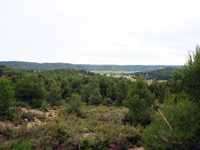 Mina Virgen del Pilar. La Sabinilla. Campo Arcis. Requena. Valencia 