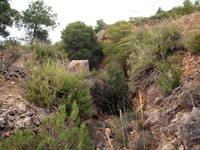 Mina Virgen del Pilar. La Sabinilla. Campo Arcis. Requena. Valencia 