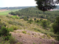 Mina Virgen del Pilar. La Sabinilla. Campo Arcis. Requena. Valencia 