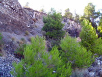 Volcán Cerro de Agras. Cofrentes. Valencia