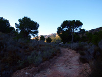 Explotaciones de Yesos Las Viudas. La Alcoraia. Alicante    