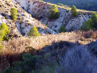 Explotaciones de Yesos Las Viudas. La Alcoraia. Alicante    