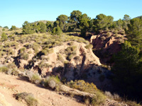 Explotaciones de Yesos Las Viudas. La Alcoraia. Alicante