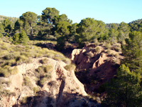 Explotaciones de Yesos Las Viudas. La Alcoraia. Alicante