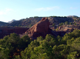 Barranco de Ojos. Aspe.  Alicante     