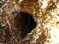 Barranco de la Minas. Orihuela. Alicante.  