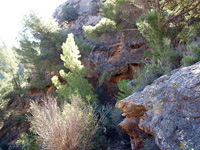 Barranco de la Minas. Orihuela. Alicante.  