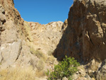 Grupo Mineralógico de Alicante.  Explotaciones de yesos. Loma de las Indias. La Alcoraia. Alicante 