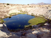 Cantera los Morteros. Aspe. Alicante  