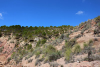 Diapiro de Pinoso. Alicante 