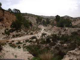 El Alcavó. Agost. Alicante    