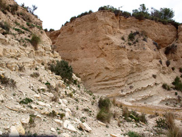 El Alcavó. Agost. Alicante    