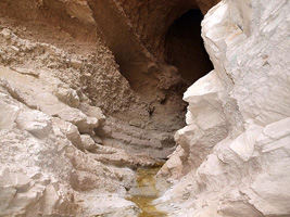 El Alcavó. Agost. Alicante    