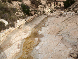 El Alcavó. Agost. Alicante    