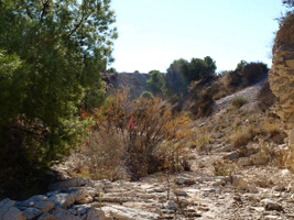 El Alcavó. Agost. Alicante