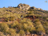 Explotaciones de Hierro. Aigües de Busot. Alicante