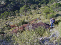 Explotaciones de Hierro. Aigües de Busot. Alicante