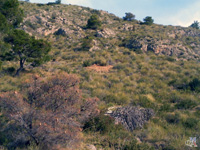 Explotaciones de Hierro. Aigües de Busot. Alicante