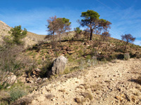 Explotaciones de Hierro. Aigües de Busot. Alicante