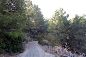 Explotación de ofitas. Sierra de Olta. Benisa.    